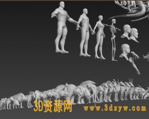 精品万用各种裸模合集 人物+动物+怪物模型