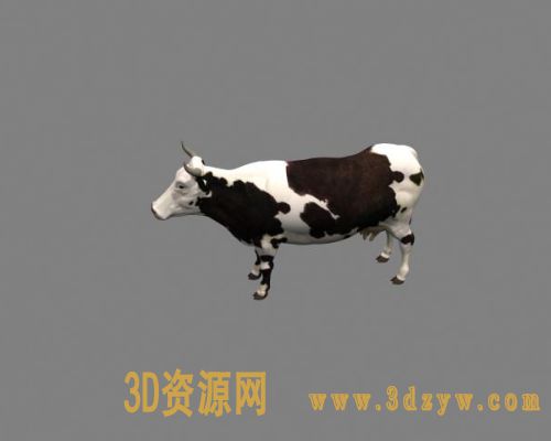 奶牛