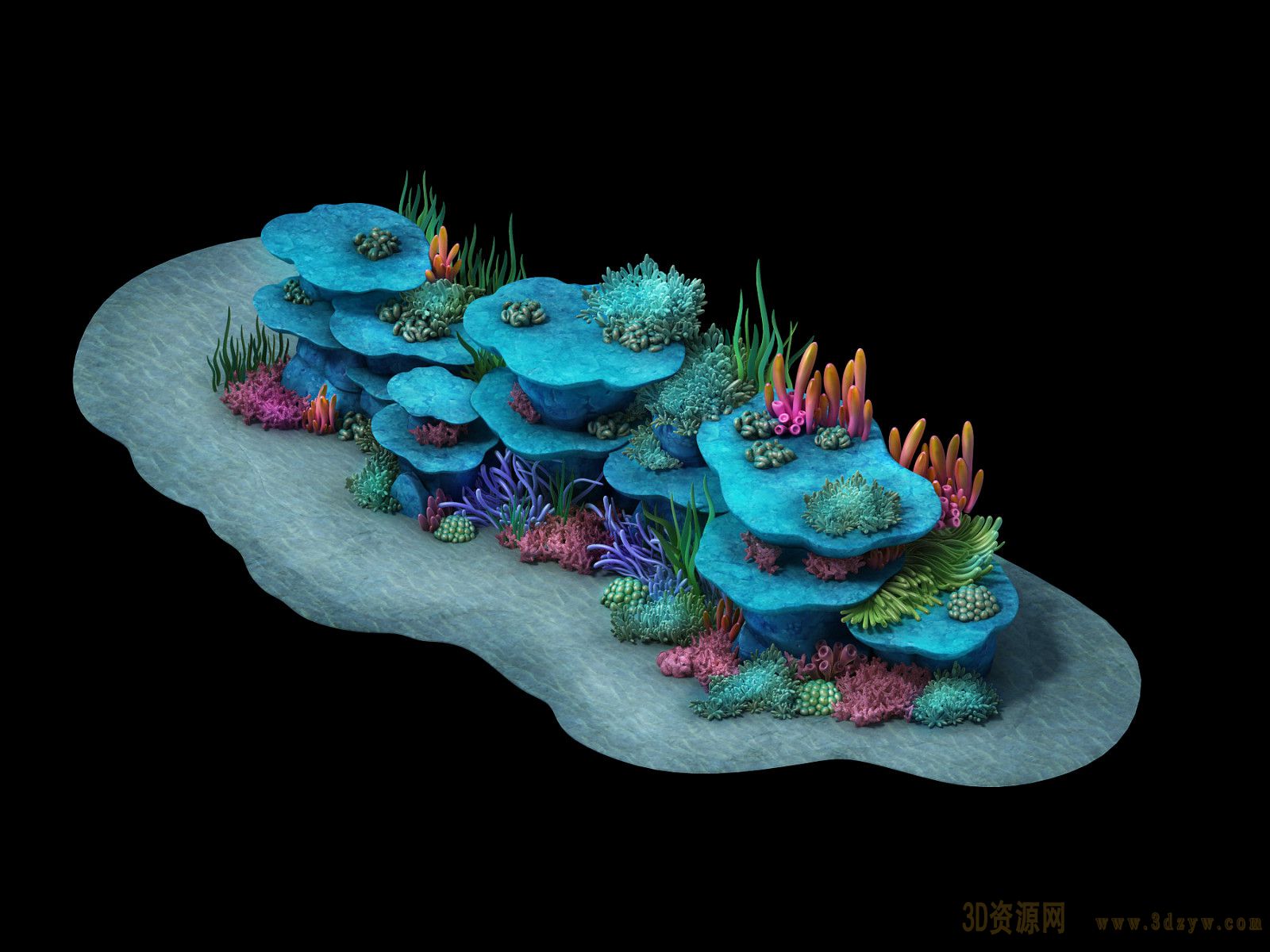 【美丽的海洋植物---珊瑚摄影图片】广州市生态摄影_冰山雪莲_太平洋电脑网摄影部落