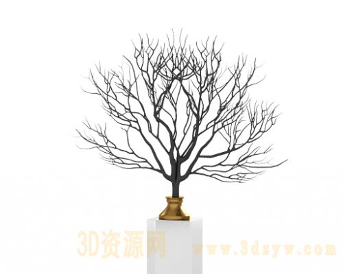 北欧国度夏加尔独立的珊瑚海树