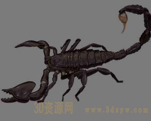 蝎子