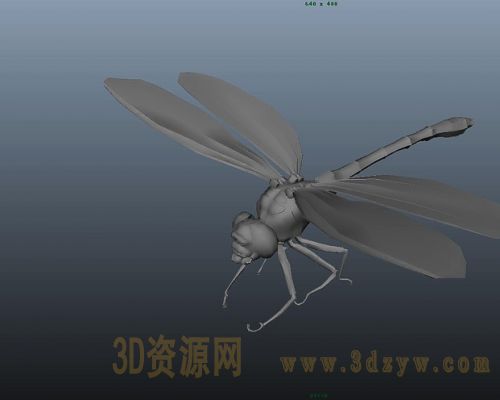 蜻蜓模型