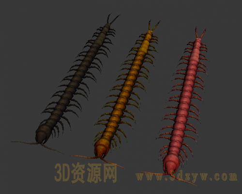 蜈蚣