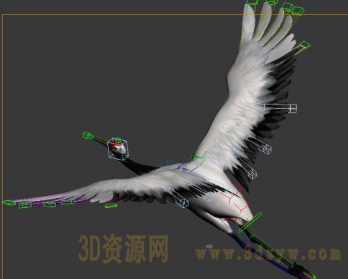 仙鹤飞带骨骼