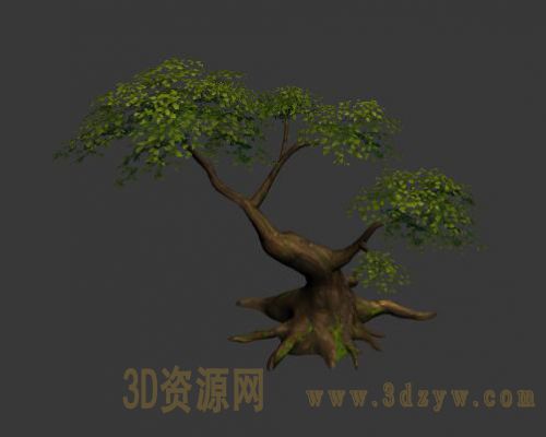 树模型
