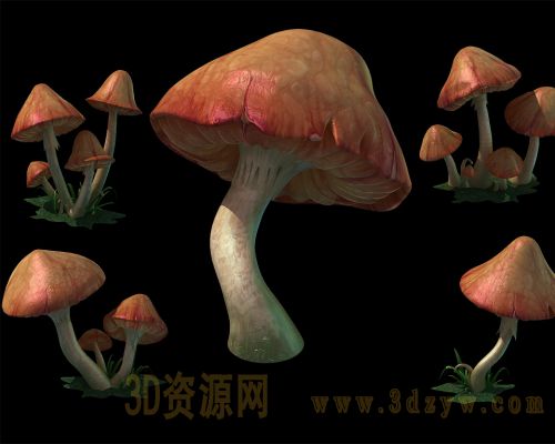 蘑菇