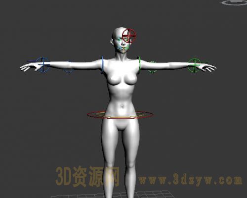 女人体带绑定