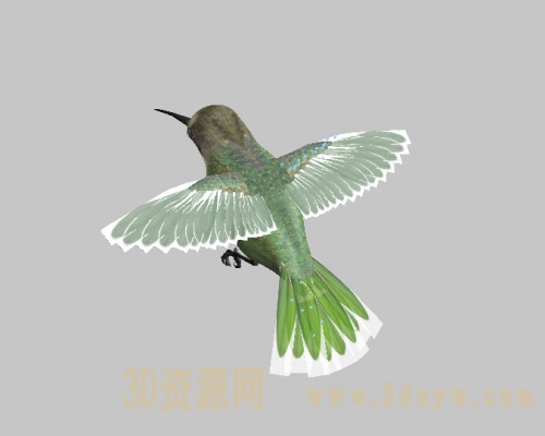 蜂鸟
