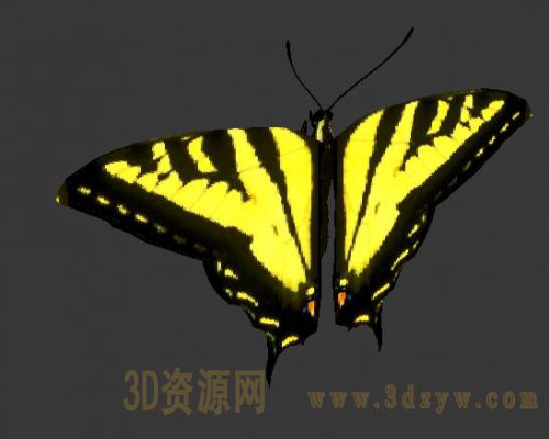 蝴蝶