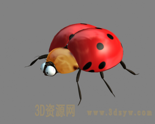 七星瓢虫