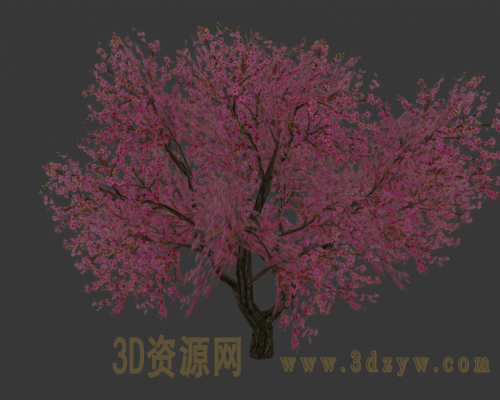 桃树