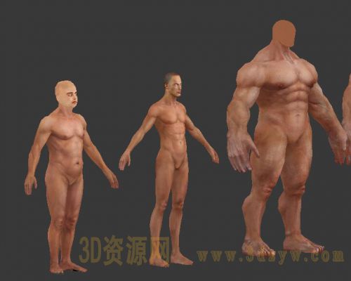 男人体模型
