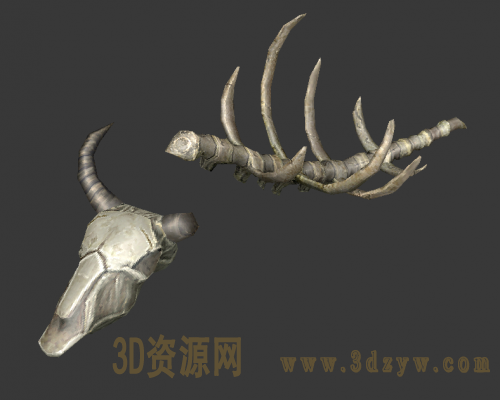 大型动物骸骨