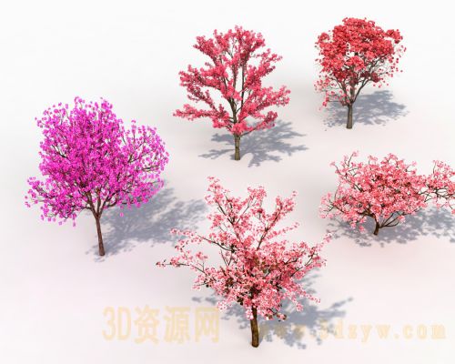 樱花树 桃树3D模型 红树