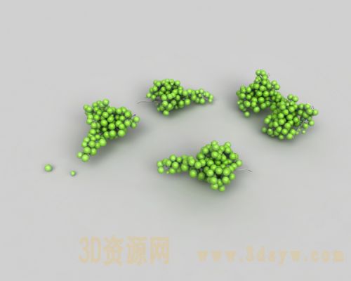 花椒 麻椒模型