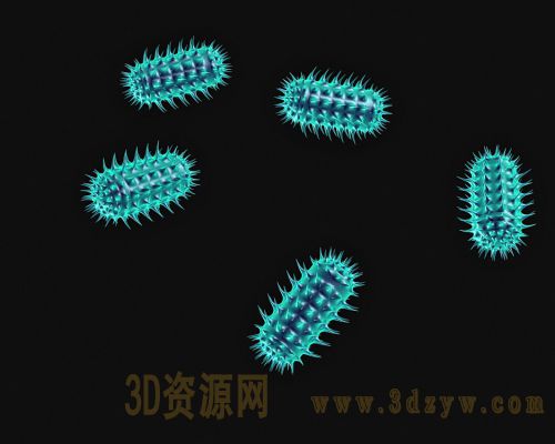 细菌病毒微生物3d模型 细菌模型 细菌病毒结构  微生物结构模型