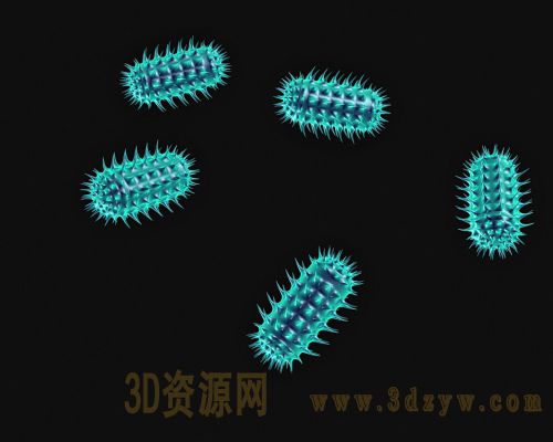 细菌病毒微生物3d模型 细菌模型 细菌病毒结构  微生物结构模型