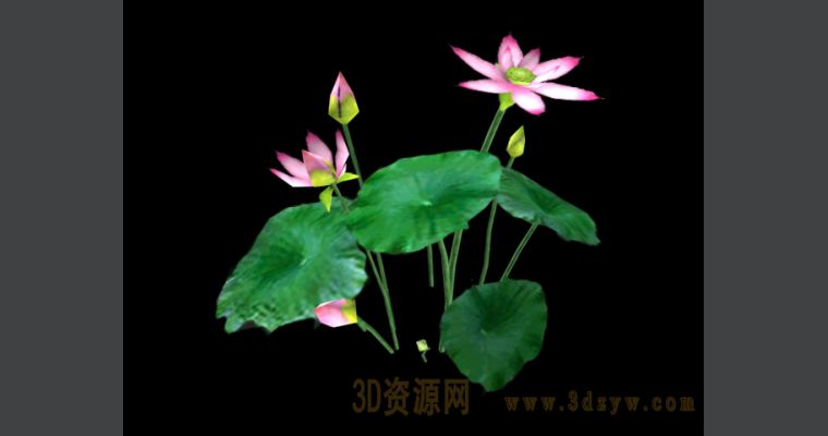 /Uploads/Images/2020-01-04/3dzyw_5e102d4b0ba8d.jpg