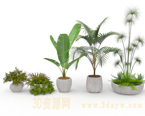 室内植物现代北欧植物盆栽绿植花盆