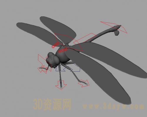 maya蜻蜓模型