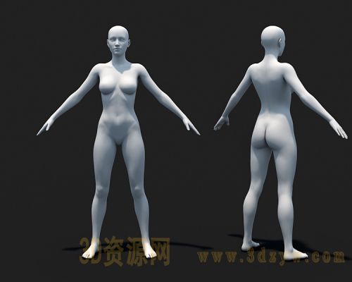 精细女人体模型 女人模型