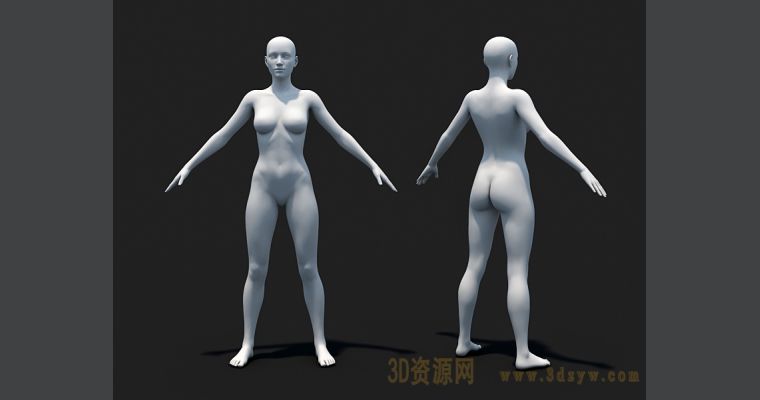 女人体 女性 人体モデル 人体模型 11インチ 約30cm 人体筋肉模型 高品質解剖模型 樹脂 筋骨格解剖学 医学研究 CGペインティング 彫刻 1:6  スタンド付き ゴールド (女)