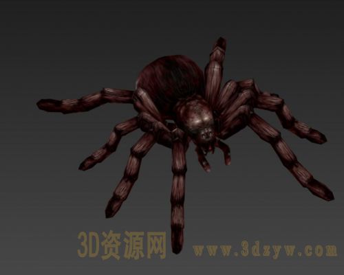 蜘蛛模型 大蜘蛛3d模型