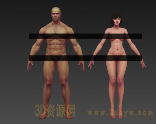 手绘男女人体模型 人物裸模