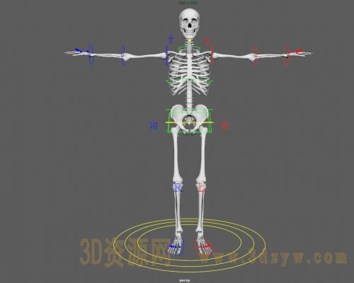 maya骷髅模型
