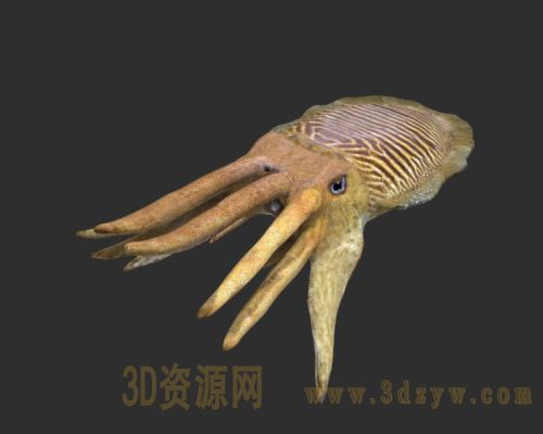 /Uploads/Images/2022-11-04/3dzyw_works_6364be9ad241e.jpg