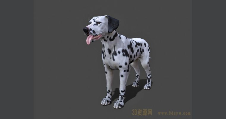 /Uploads/Images/2023-04-13/3dzyw_6437cf62094f8.jpg