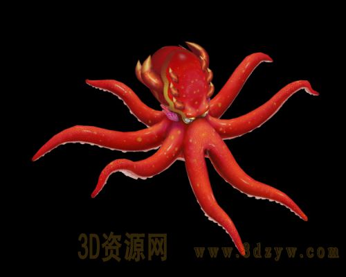 章鱼原地游动 走路动画 章鱼模型