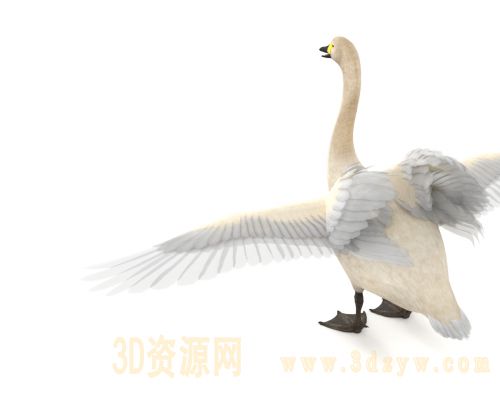 /Uploads/Images/2026-03-19/3dzyw_works_69bba2d1749c7.jpg