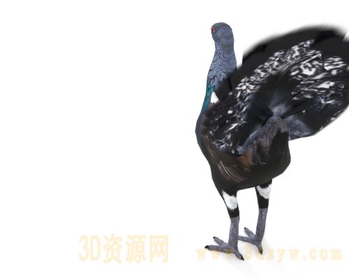 /Uploads/Images/2026-03-24/3dzyw_works_69c1f33bc050d.jpg