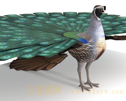 /Uploads/Images/2026-03-25/3dzyw_works_69c3b9ad2fe90.jpg
