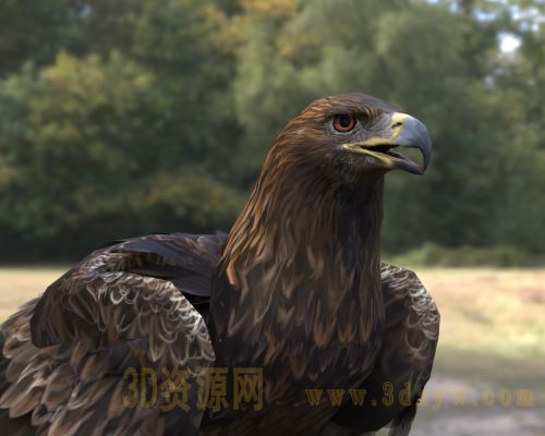 /Uploads/Images/2026-03-31/3dzyw_works_69cb735ad7c0c.jpg