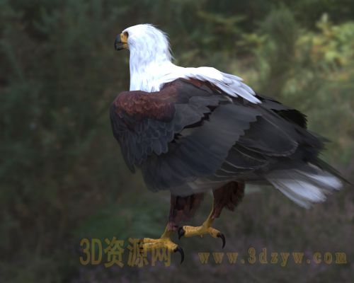 /Uploads/Images/2026-04-03/3dzyw_works_69cf8972c55a8.jpg