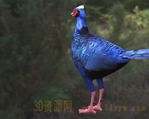 /Uploads/Images/2026-04-07/3dzyw_works_69d4c9faee728.jpg