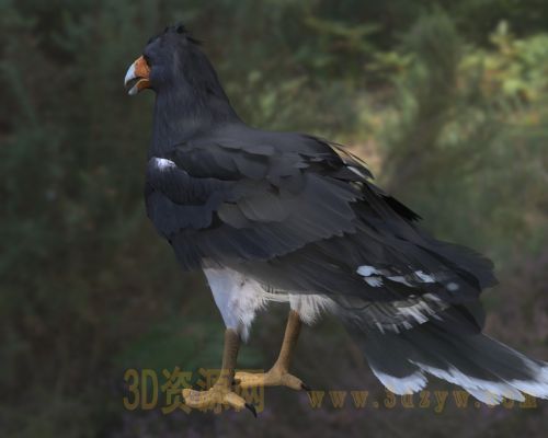 /Uploads/Images/2026-04-07/3dzyw_works_69d4cf0ea60a0.jpg