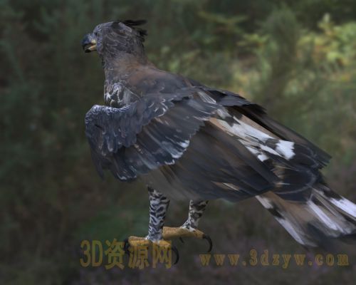 /Uploads/Images/2026-04-07/3dzyw_works_69d4df4b3a9da.jpg