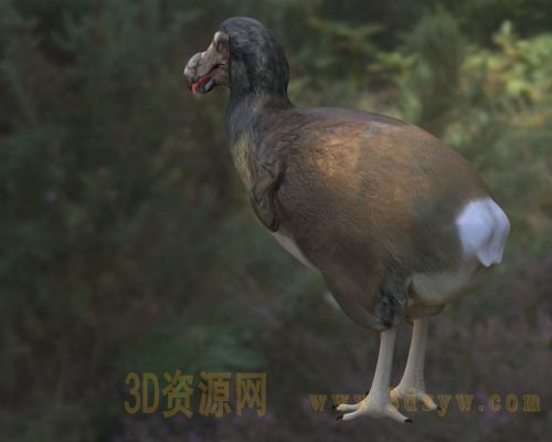 /Uploads/Images/2026-04-08/3dzyw_works_69d60eac2ffbd.jpg
