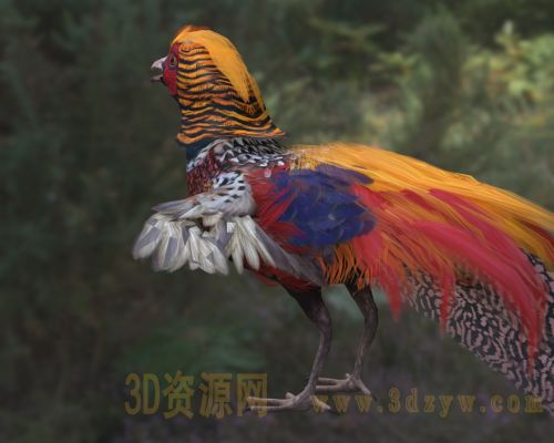 /Uploads/Images/2026-04-08/3dzyw_works_69d61cd8eaa3f.jpg