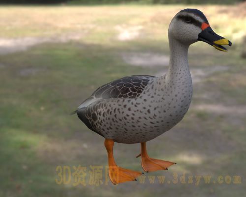 /Uploads/Images/2026-05-09/3dzyw_works_69fea9c56d8b1.jpg