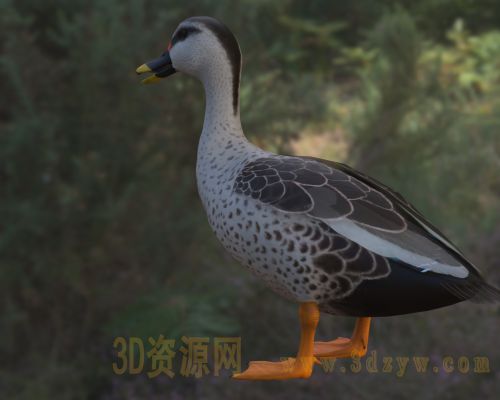 /Uploads/Images/2026-05-09/3dzyw_works_69fea9c790e46.jpg