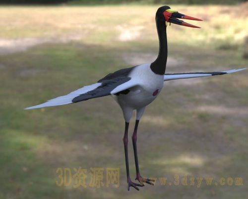 /Uploads/Images/2026-05-11/3dzyw_works_6a0195cfb8c58.jpg