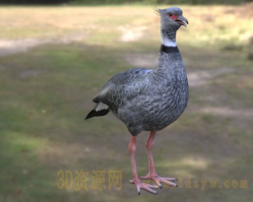 /Uploads/Images/2026-05-11/3dzyw_works_6a01987b84fb7.jpg