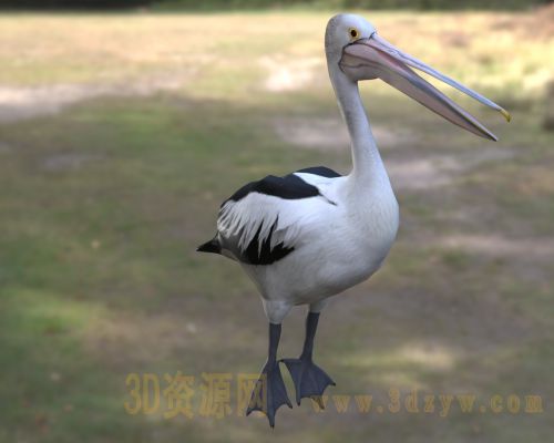 /Uploads/Images/2026-05-11/3dzyw_works_6a019e374fb35.jpg