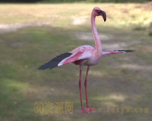 /Uploads/Images/2026-05-11/3dzyw_works_6a01a223b0e14.jpg