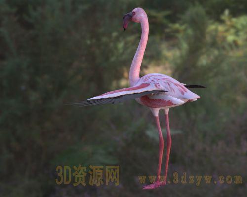 /Uploads/Images/2026-05-11/3dzyw_works_6a01a225c0a34.jpg