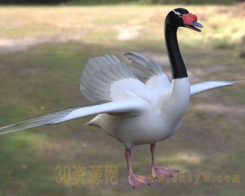 /Uploads/Images/2026-05-11/3dzyw_works_6a01a88b41a19.jpg